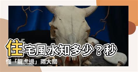 龍虎邊|【住宅龍虎邊】住宅風水知多少？秒懂「龍虎邊」兩大。